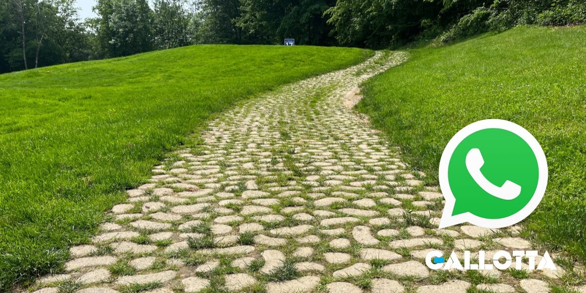 Canale Whatsapp Canale Whatsapp GALLOTTA