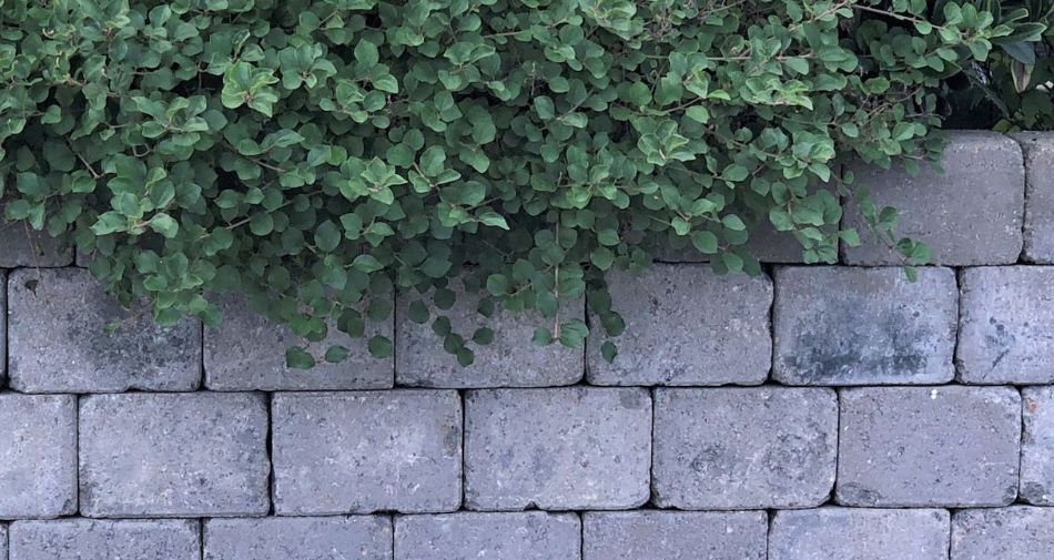 Muretto cemento Muretto realizzato con i blocchi in cemento